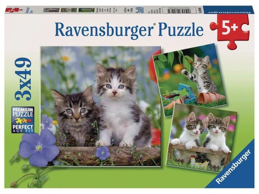 [90040168 881884] Ravensburger Puzzle Süsse Samtpfötchen