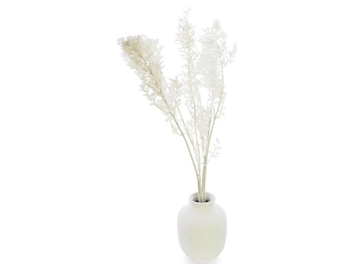 [90236405 1382288] Soli Collection Trockenblumen Ruscus 70-75 cm, Weiss