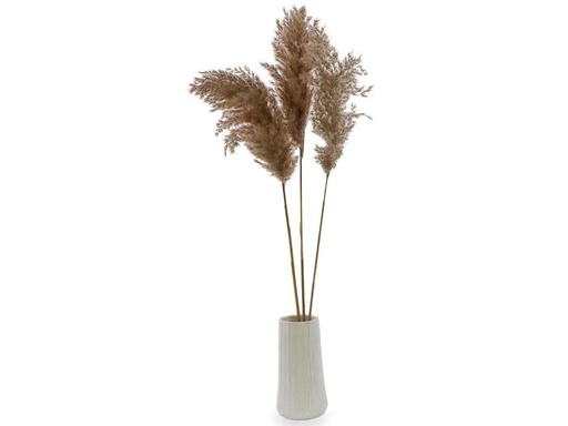 [90238341 1382260] Soli Collection Trockenblumen Pampasgras 3er Set, Naturfarben
