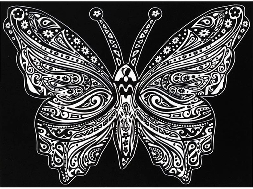 [90238936 1353156] Tataruga Malset Samtbild Schmetterling A4