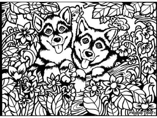 [90238952 1353149] Tataruga Malset Samtbild Huskys A4