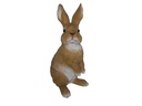 Vivid Arts Dekofigur Hase