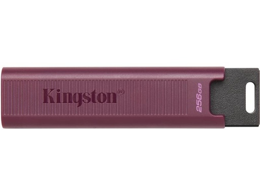 [90245221 1421679] Kingston USB-Stick DataTraveler Max 256 GB