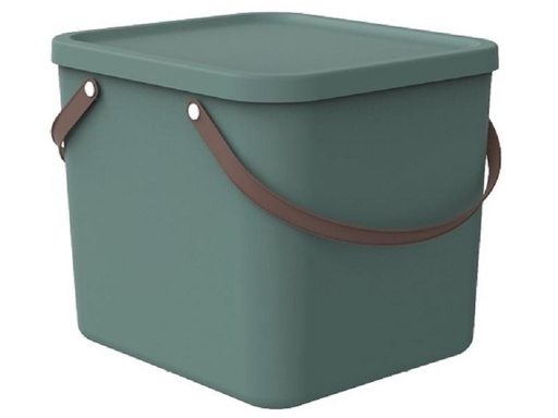 [90246111 1424554] Rotho Aufbewahrungsbox Albula 40 l, Grün