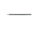 Caran d'Ache Farbstifte Prismalo 3 mm, 1 Stück, Dunkelbeige