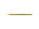 Caran d'Ache Farbstifte Prismalo 3 mm, 1 Stück, Grünocker