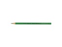 Caran d'Ache Farbstifte Prismalo 3 mm, 1 Stück, Moosgrün