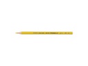 Caran d'Ache Farbstifte Prismalo 3 mm, 1 Stück, Goldocker