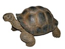 Vivid Arts Dekofigur Schildkröte