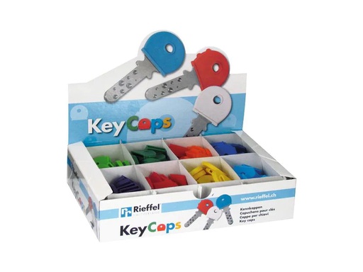 [90250383 1404335] Robert Rieffel Schlüsselkappen 100 Stück, Assortiert