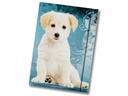 Folia Gummibandmappe A3 Hund