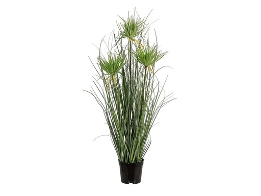[90253560 1421475] Botanic-Haus Kunstpflanze Papyrus 3x, Grün
