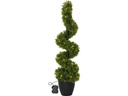Star Trading Baum Buxbom, 0.9 m, Grün, 30 LED