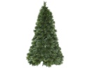 Star Trading Weihnachtsbaum Cembra, 2.4 m, Grün