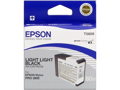 [90044406 67168] Epson Tinte C13T580900 Light Light Black