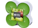 müller Kerzen Duftkerze Juicy Apple 8 Stück