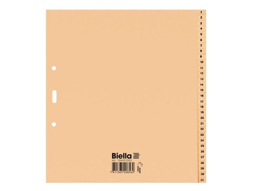 [90257110 1399144] Biella Register A4, 1-31
