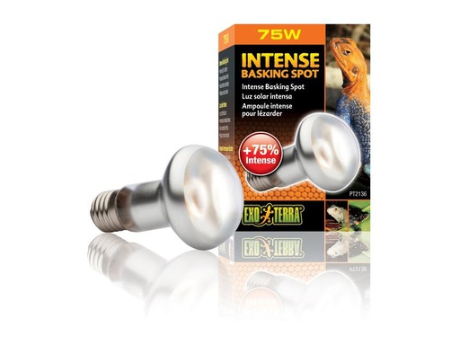 [90261863 1445781] Exo Terra Terrarienlampe Intense Basking Spot E27, R20/75W