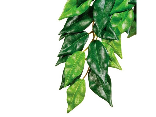 [90261983 1445786] Exo Terra Regenwaldpflanze Fikus, S