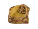 Exo Terra Wasserschale Small, 10 x 10 x 3 cm