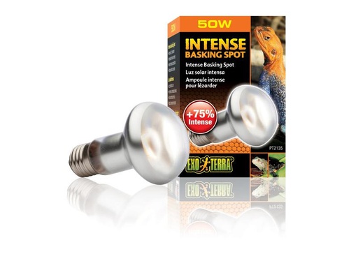 [90262033 1445780] Exo Terra Terrarienlampe Intense Basking Spot E27, R20/50W