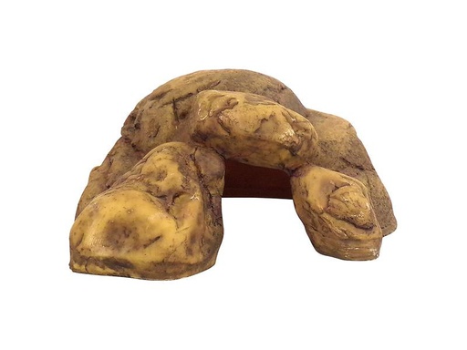 [90262129 1445804] Exo Terra Höhle Reptile Cave M, 8 x 20 x 17 cm