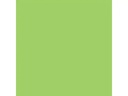 Rainbow Kopierpapier A3, Grün, 80 g/m², 500 Blatt
