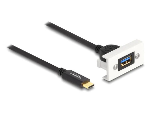 [90266119 1466310] Delock Easy 45 Modul SuperSpeed USB-A zu USB-C, Kabelpeitsche
