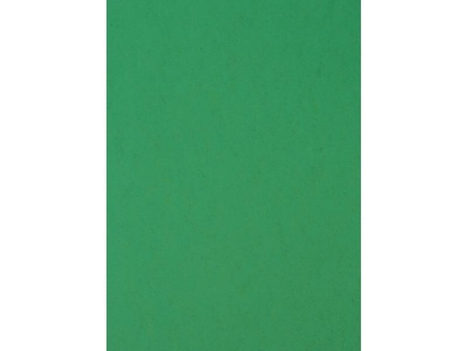 [90268648 1485884] CONNECT Einbanddeckel 385 g/m², 50 Stück, Grün