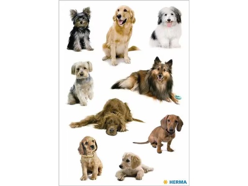 [90275634 1503323] Herma Stickers Motivsticker Hundefotos, 3 Blatt