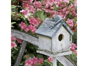 Paper + Design Papierservietten Spring Birdhouse 33 cm x 33 cm, 20 Stück