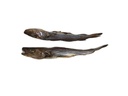 Kaufit Blue Whitting, 200 g