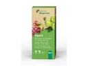 Andermatt Biogarten Dünger BIO AlgoFol, 250 ml