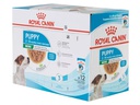 Royal Canin Nassfutter Start of Life Mini Puppy Sauce, 12 x 85 g