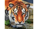 CRAFT Buddy Bastelset Crystal Art Card Tiger