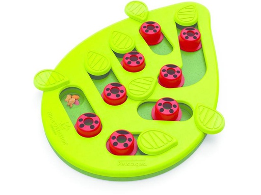 [90289512 1532404] Petstage Katzen-Spielzeug Cat Puzzle + Play Buggin Out