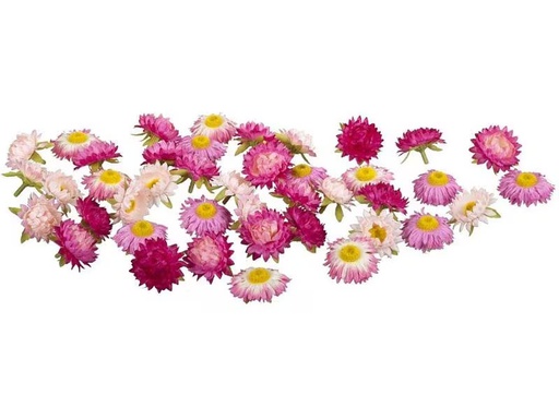 [90289516 1534822] Dekomat AG Kunstblume Strohblüten 36 Stück, Rosa/Pink