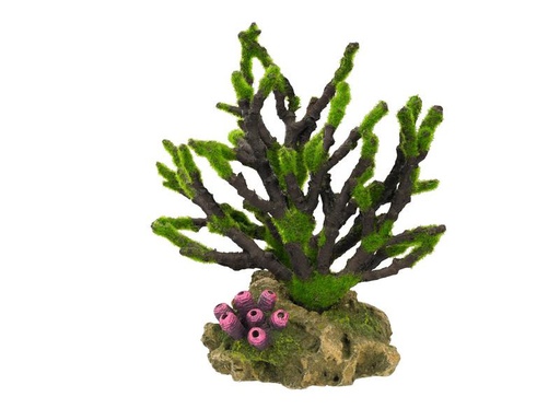 [90289595 1535157] Nobby Aqua Ornaments Korelle mit Moos, 19 x 12 x 20.8 cm