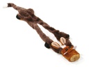 SwissPet Hunde-Spielzeug Schlappi-Stinktier, L, 60 cm, Braun
