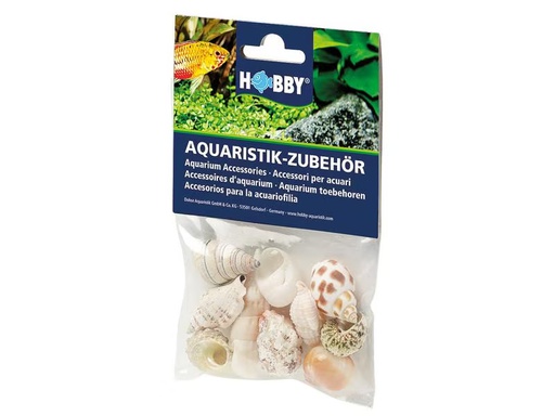 [90297006 1563300] Hobby Aquaristik Dekoration Sea Shells Set, M, 10 Stück