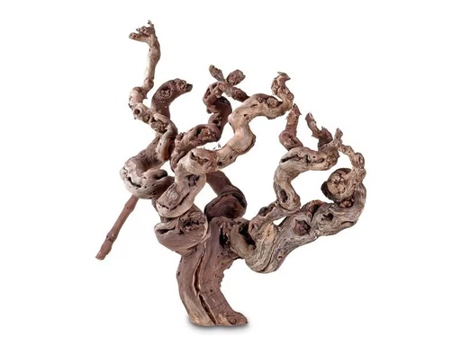 [90297054 1562149] Hobby Terraristik Weinrebenwurzel ca. 30 cm