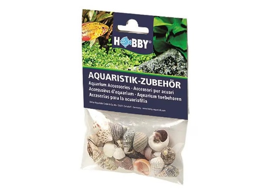 [90297117 1563301] Hobby Aquaristik Dekoration Sea Shells Set, S, 20 Stück