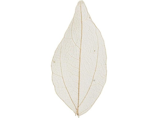 [90049517 1019983] Creativ Company Papierdekoration Laubblätter, Nature, 20 Stück