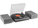 Fenton Plattenspieler RP165G Grau