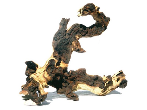 [90304300 1577904] AMAZONAS Dekoration Mopani Holz M, 30-35 cm