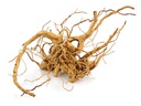 AMAZONAS Dekoration Finger-Wurzel S, 20-30 cm