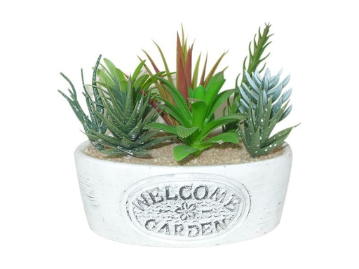 [90304725 1585850] Dameco Kunstpflanze Sukkulenten «Welcome» 16 cm, mit Topf