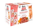 Brit Nassfutter Care Flavour box Fillets Sauce, 12 x 85 g