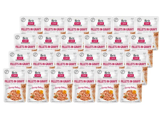 [90308125 1585536] Brit Nassfutter Care Fillets Sauce Lachs, 24 x 85 g