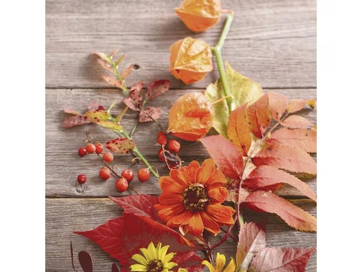 [90311091 1609802] Paper + Design Papierservietten Rainy Leaves 33 cm x 33 cm, 20 Stück
